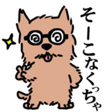 Norwich & Norfolk Terriers sticker #7250811