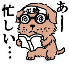 Norwich & Norfolk Terriers sticker #7250822