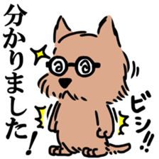 Norwich & Norfolk Terriers sticker #7250823