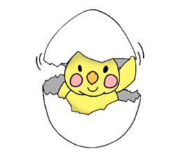 Panda Dog Pig Chik sticker #7250986