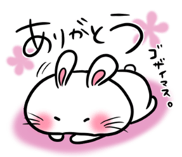 white rabbit and brown rabbit sticker #7251746