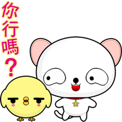 QQ Round Dog (everyday life)