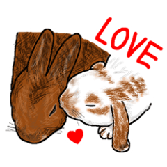 Our beloved rabbit (English version)