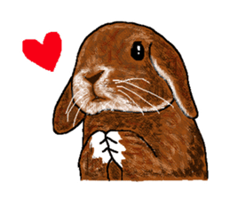 Our beloved rabbit (English version) sticker #7254496