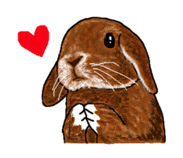 Our beloved rabbit (English version) sticker #7254496