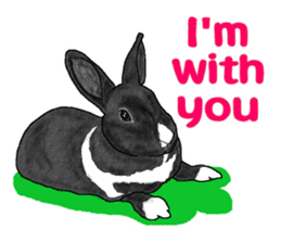 Our beloved rabbit (English version) sticker #7254498