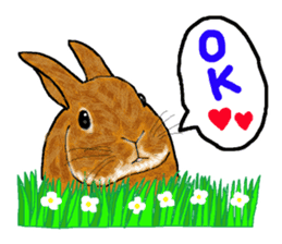 Our beloved rabbit (English version) sticker #7254500