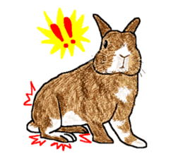 Our beloved rabbit (English version) sticker #7254501