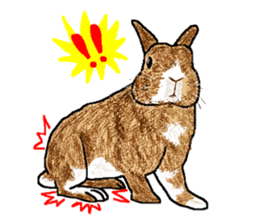 Our beloved rabbit (English version) sticker #7254501