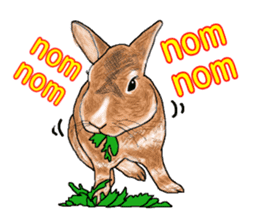 Our beloved rabbit (English version) sticker #7254502