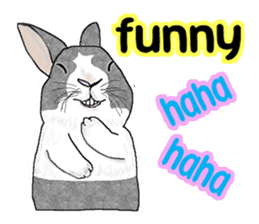 Our beloved rabbit (English version) sticker #7254503