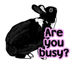 Our beloved rabbit (English version) sticker #7254504