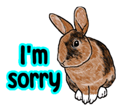 Our beloved rabbit (English version) sticker #7254507