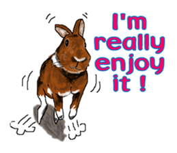 Our beloved rabbit (English version) sticker #7254508