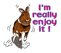 Our beloved rabbit (English version) sticker #7254508