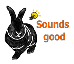 Our beloved rabbit (English version) sticker #7254509