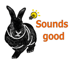 Our beloved rabbit (English version) sticker #7254509
