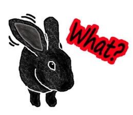 Our beloved rabbit (English version) sticker #7254511