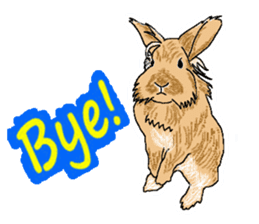 Our beloved rabbit (English version) sticker #7254512
