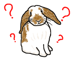 Our beloved rabbit (English version) sticker #7254513