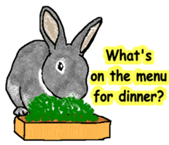 Our beloved rabbit (English version) sticker #7254514