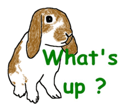 Our beloved rabbit (English version) sticker #7254515