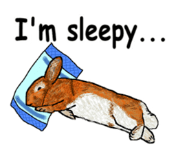 Our beloved rabbit (English version) sticker #7254518