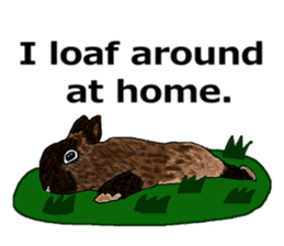 Our beloved rabbit (English version) sticker #7254520