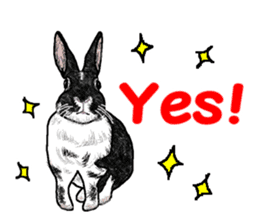 Our beloved rabbit (English version) sticker #7254522