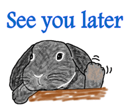 Our beloved rabbit (English version) sticker #7254523