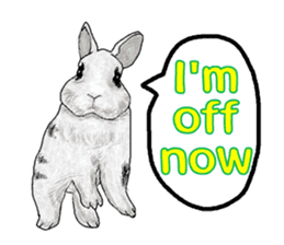 Our beloved rabbit (English version) sticker #7254525