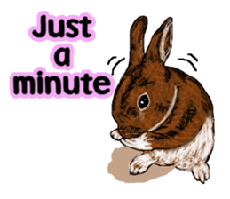 Our beloved rabbit (English version) sticker #7254527