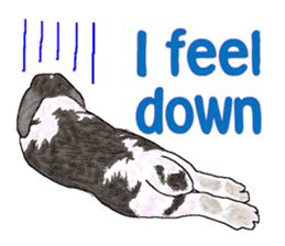 Our beloved rabbit (English version) sticker #7254528