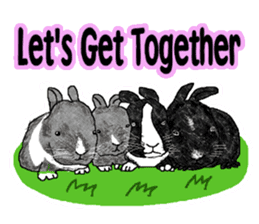 Our beloved rabbit (English version) sticker #7254529