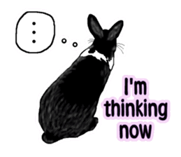 Our beloved rabbit (English version) sticker #7254530