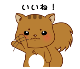 Squirrel with 40 emotion or pattern sticker #7256358