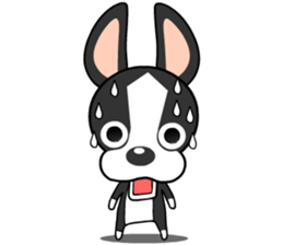 Adorable Boston Terrier Showtime sticker #7256496