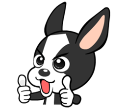 Adorable Boston Terrier Showtime sticker #7256500