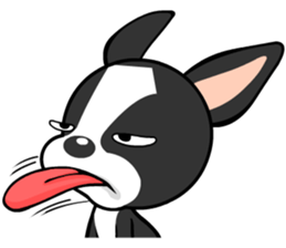 Adorable Boston Terrier Showtime sticker #7256501