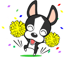 Adorable Boston Terrier Showtime sticker #7256502