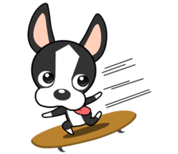Adorable Boston Terrier Showtime sticker #7256504