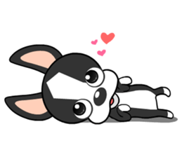 Adorable Boston Terrier Showtime sticker #7256505