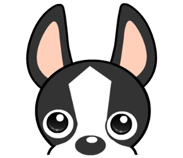 Adorable Boston Terrier Showtime sticker #7256512