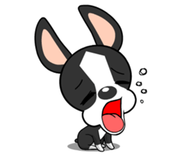 Adorable Boston Terrier Showtime sticker #7256513