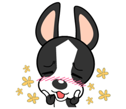 Adorable Boston Terrier Showtime sticker #7256514