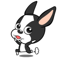 Adorable Boston Terrier Showtime sticker #7256515