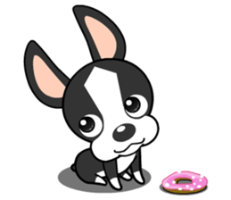 Adorable Boston Terrier Showtime sticker #7256518