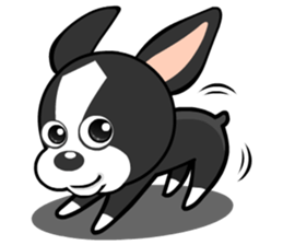 Adorable Boston Terrier Showtime sticker #7256522