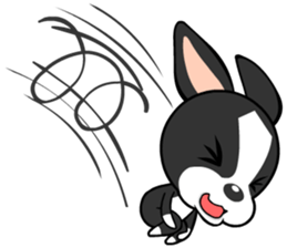 Adorable Boston Terrier Showtime sticker #7256527