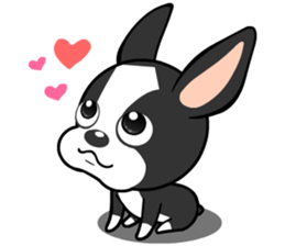 Adorable Boston Terrier Showtime sticker #7256530